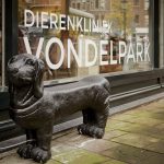 dierenarts-amsterdam