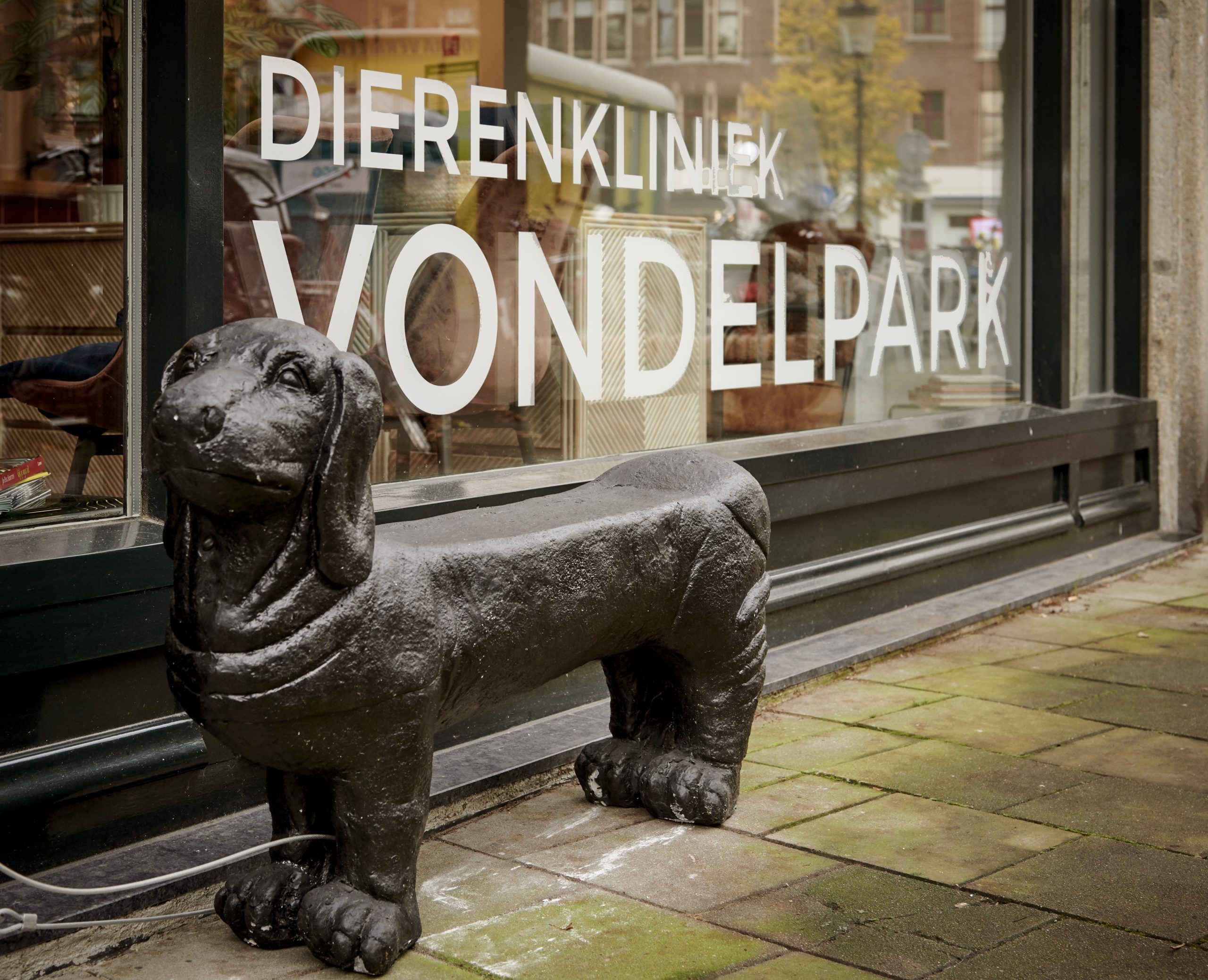 dierenarts-amsterdam