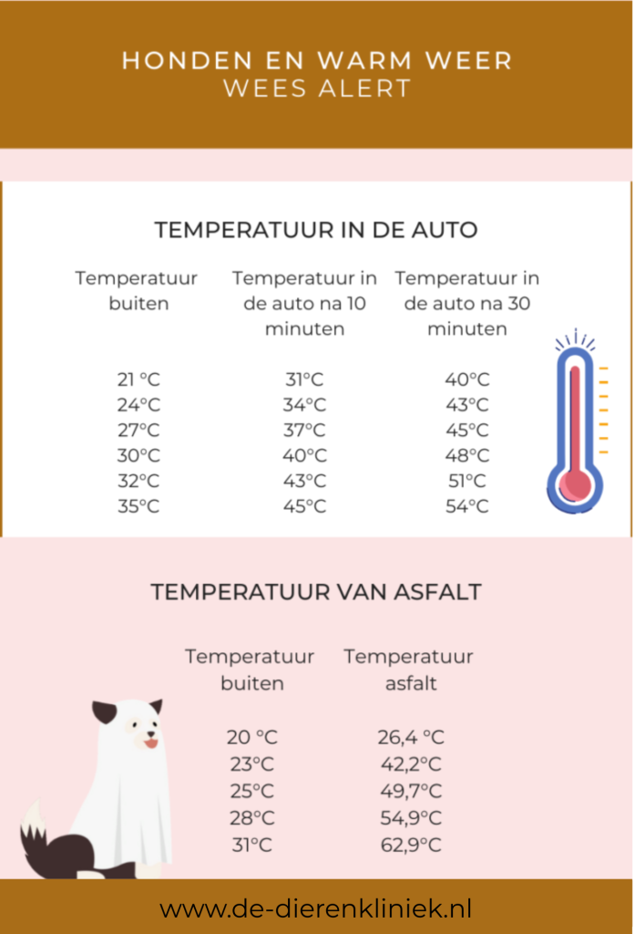 Wanneer is het te warm voor mijn hond?