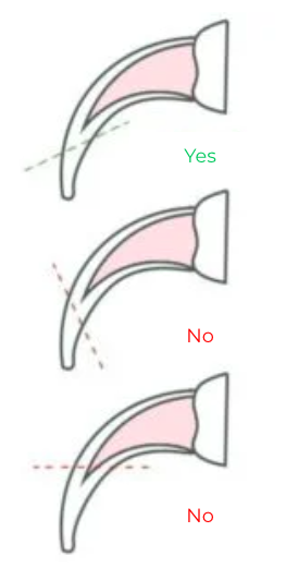 how to clip your dog nails