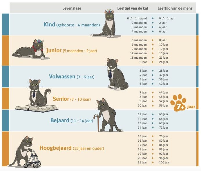 leeftijd kat in mensenjaren