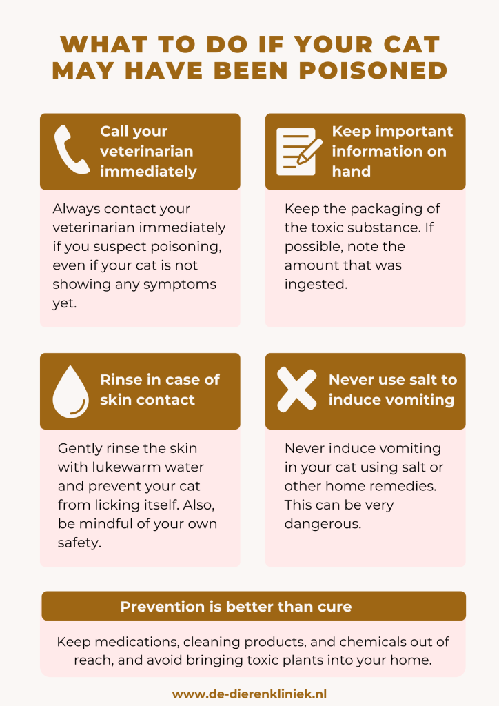 What to do if your cat is poisoned?