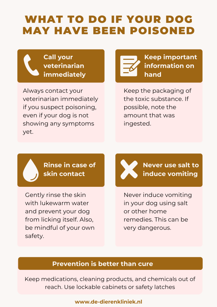 What to do if your dog is poisoned?