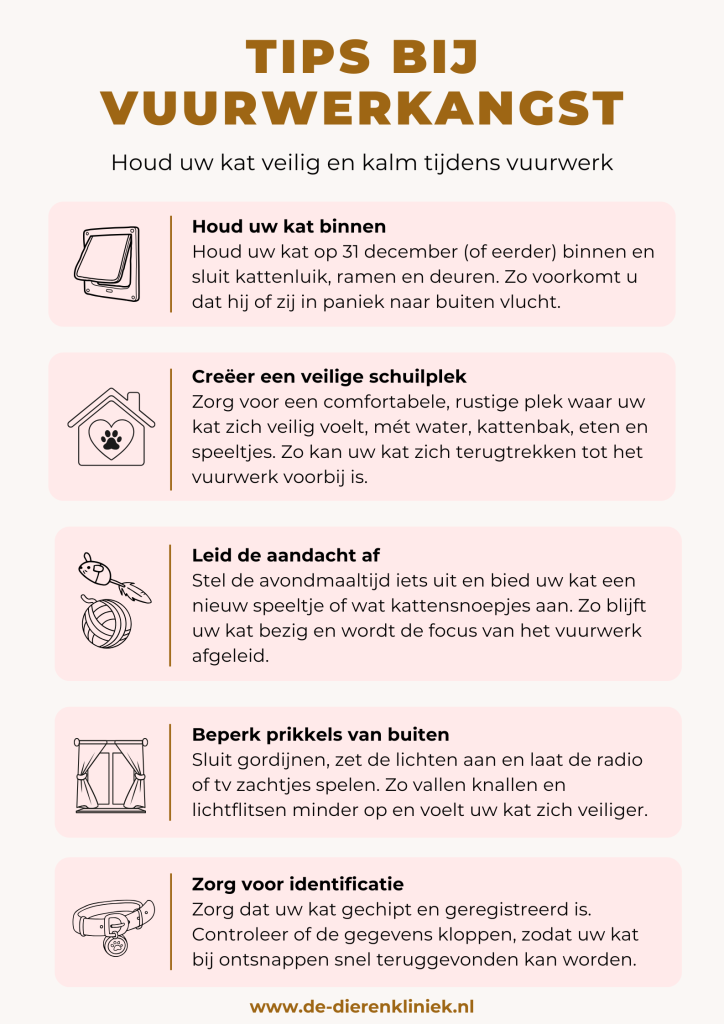 Tips om uw kat te helpen bij vuurwerkangst!