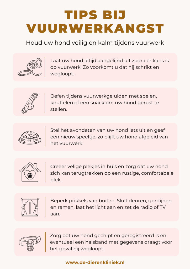 Tips om uw hond te helpen bij vuurwerkangst!
